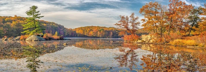 Northtown Chiropractic & Injury Rehab in New York Northtown Chiropractic & Injury Rehab in New York